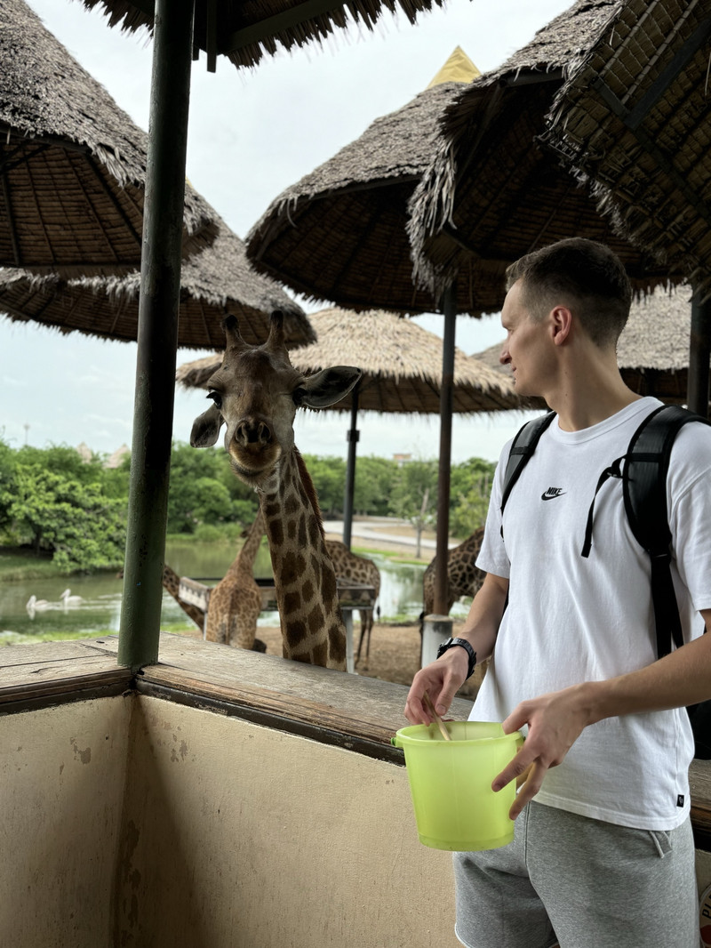 曼谷野生動物世界用戶評價