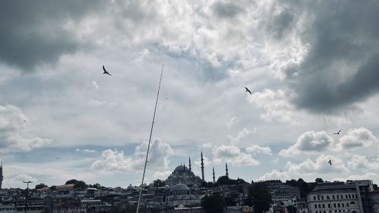 釣り人と、トルコの素晴らしい景色が広がっていました。ガラタ橋