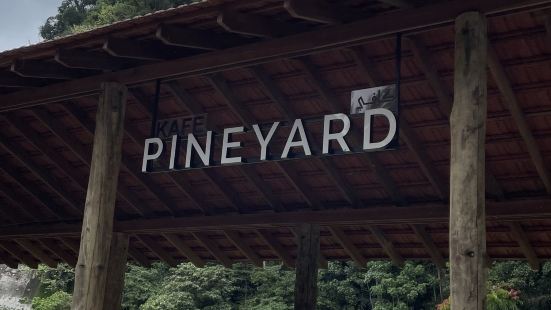 Pineyard located below genting