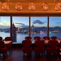 ALTO Bar & Grill User Photo
