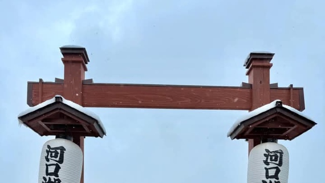 review picture