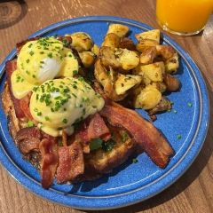 Little Collins User Photo