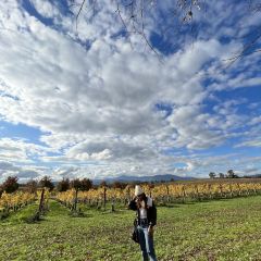 Oakridge Wines User Photo