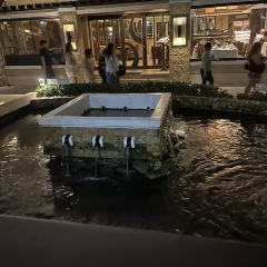Mesa User Photo