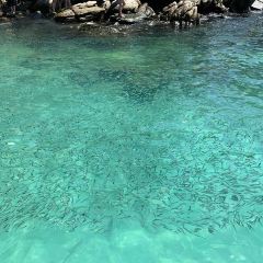 Banana Beach User Photo