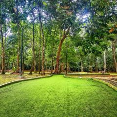 STG Taiping User Photo