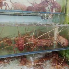 Welcome Seafood Restaurant User Photo
