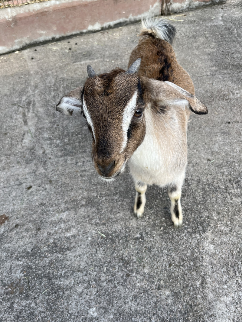 香港樂高探索中心用戶評價