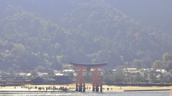 日本其中一個最美的絕景「宮島 嚴島神社海上大鳥居」位於廣島市