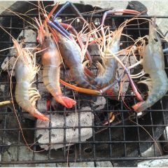 Jomtien Talay Pao User Photo