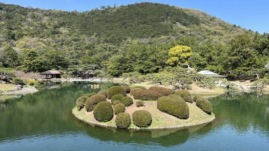 非常有代表性的日式庭園 園內可以看到不同的日式亭園造景 植物