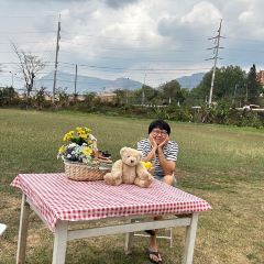Jolly Cafe User Photo