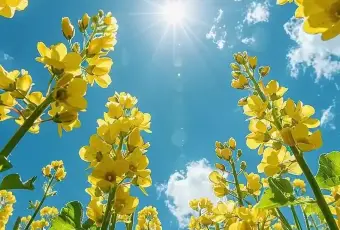 五代目 野田岩 麻布飯倉本店張用戶圖片