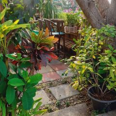 Motherhouse Bar and Restaurant 여행 사진