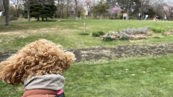 今年は桜の季節は終わりましたが、ゴールデンウィーク中、札幌の