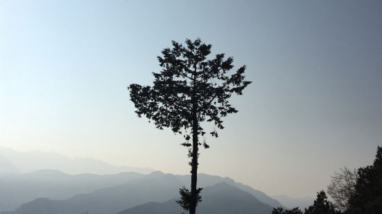 阿里山鄉位於臺灣嘉義縣東部，北鄰南投縣竹山鎮，東鄰南投縣信義