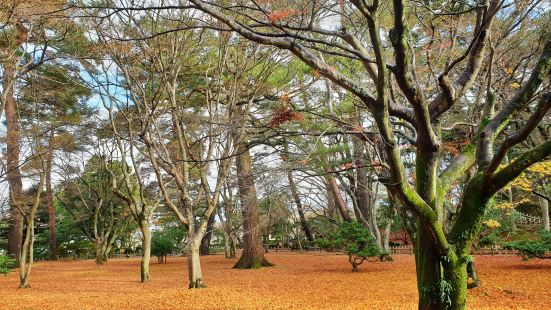 ชมสวนKenrokuen เมือง คานาซาว่า