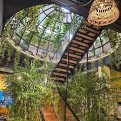 Xóm Mới Garden User Photo