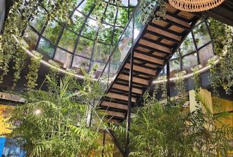 Xóm Mới Garden User Photo