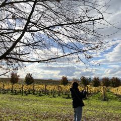 Oakridge Wines User Photo
