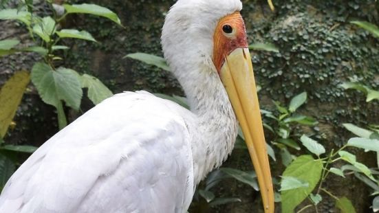 広大な敷地で自然や動物と触れ合うことのできるテーマパークです