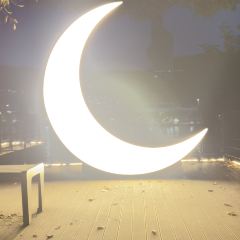 007라이브 User Photo