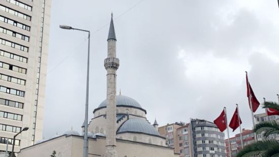 Istanbul has many historical p