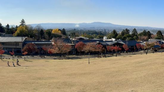 奈良必去的登高点，在山上可以俯瞰整个奈良，风景非常好，推荐傍