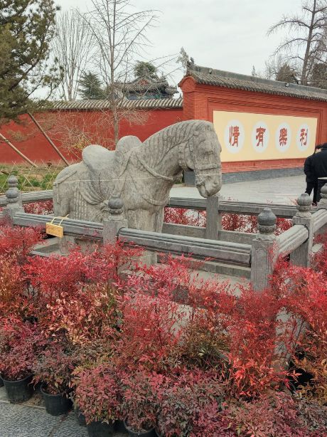 最新】白馬寺 - チケット、営業時間、口コミ、写真 [2026年] Trip.com