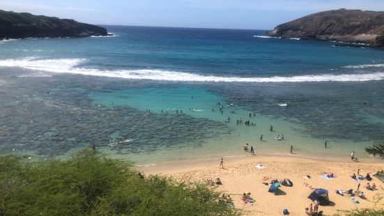 excellent place to snorkelonly