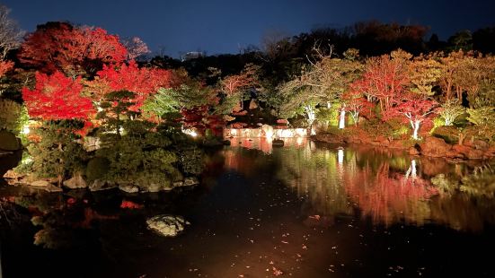 【紅葉まつり-日本庭園夜間ライトアップ】2022年の秋に行き