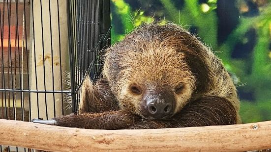 沖縄本島北部、名護市にあるネオパークオキナワは広大な動植物公