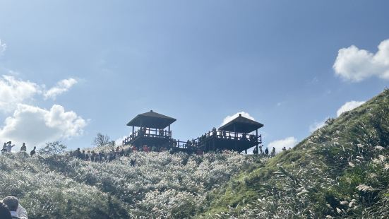 秋天的乾爽天氣和一片芒草，十分舒適，路途中經過會看到龜山島，