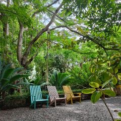 PREM CAFE IN THE GARDEN User Photo