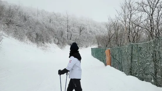 레인보우파라다이스만 3번탔어요ㅋㅋㅋㅋ너무 재밌고 경치 