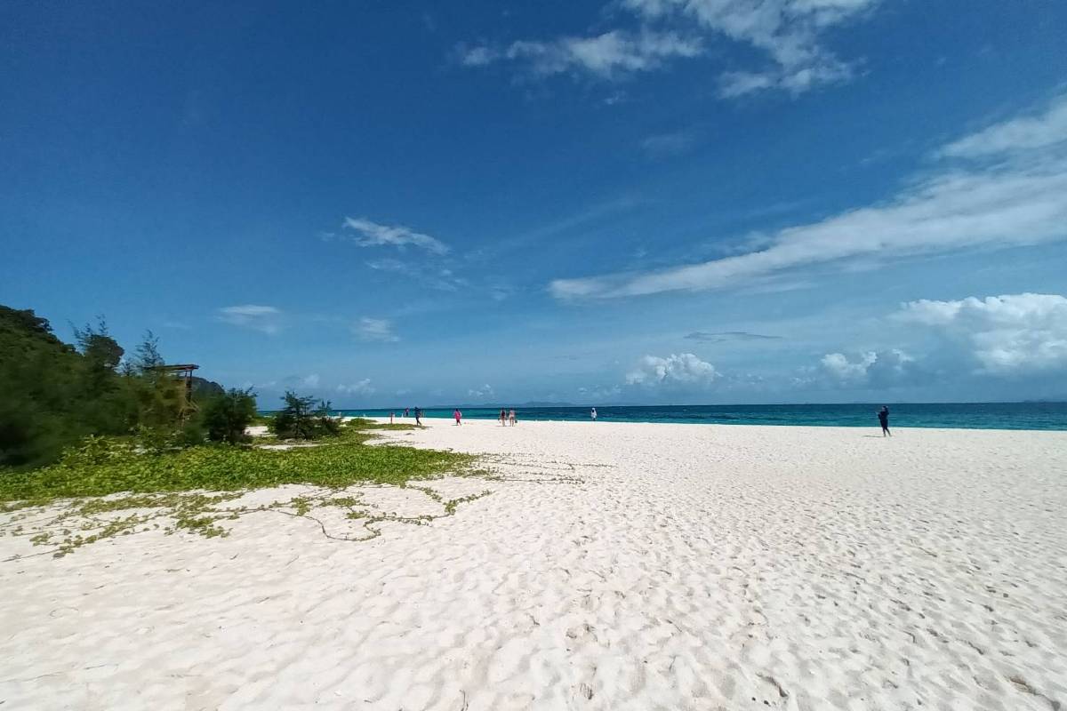 เกาะไม้ไผ่