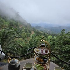 More Mountain Doi Chang User Photo