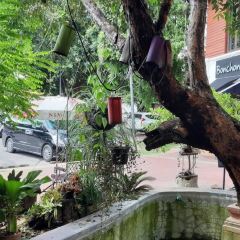 三兄弟餐廳張用戶圖片