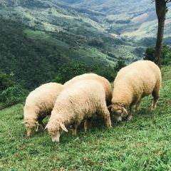 Akha FarmVille User Photo
