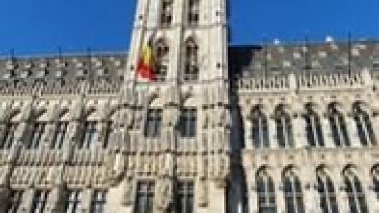 The Grand Place (Grote Markt),