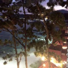 Waveon Coffee User Photo