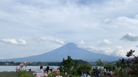 A relaxing overseeing Mt Fuji 