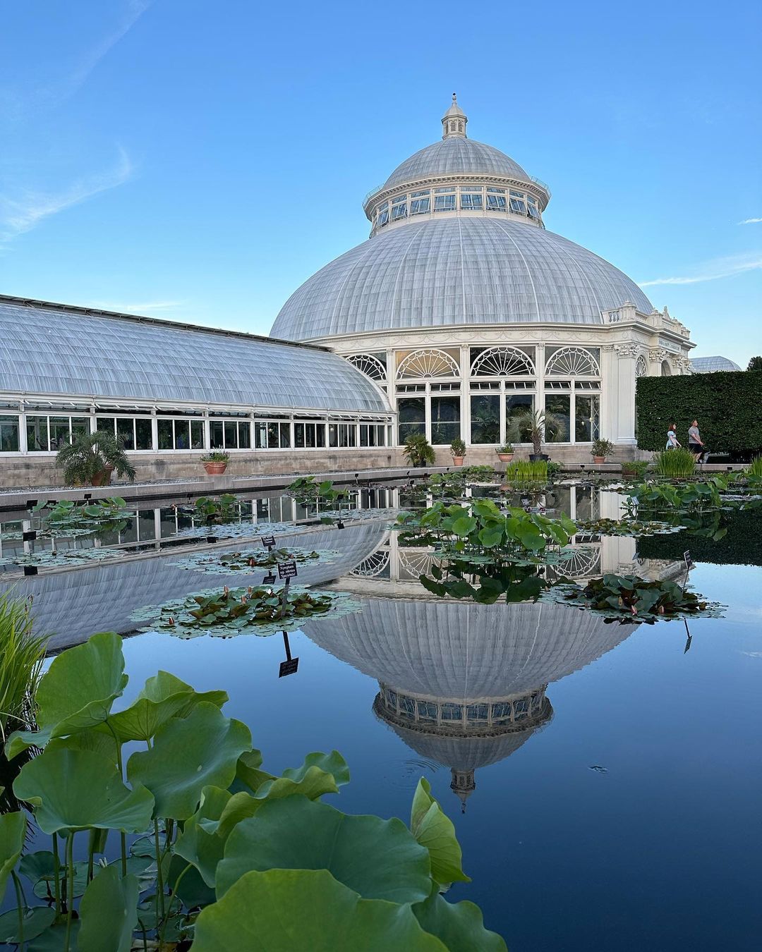 New York Botanical Garden Tickets [2025] Promos, Prices, Reviews