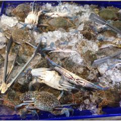 Jomtien Talay Pao User Photo