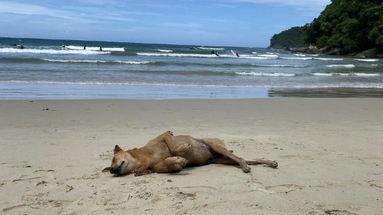 A lovely large beach great for