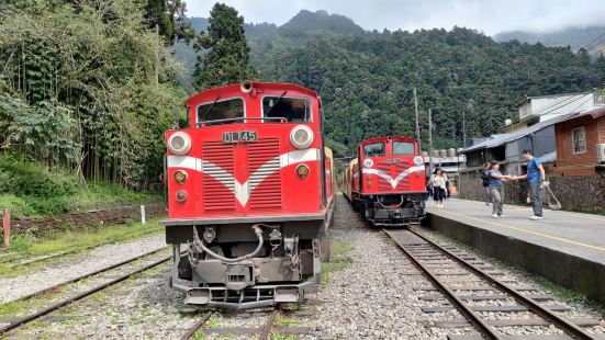 奮起湖火車站停了幾台火車供路人拍照，歷史悠久，不過也有正在運