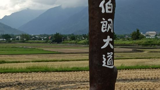 台東旅遊前往嚮往已久的池上伯朗大道，適逢暑假遊客眾多，排隊拍