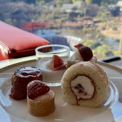 Garden Lounge User Photo