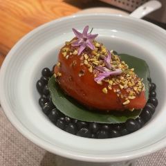 SUN PLANT User Photo