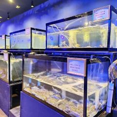 King Seafood張用戶圖片
